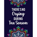 There's No Crying During Tax Season: Accountant Coloring Book Intricate Designs And Humorous Quotes To Color, Stress-Free Coloring Pages