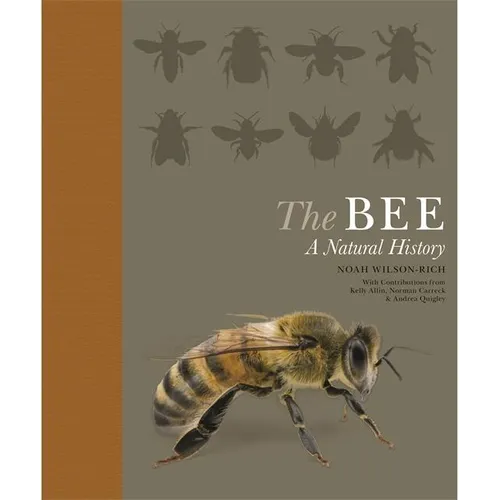 The Bee: A Natural History
