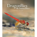 Dragonflies and Damselflies: A Natural History