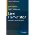 Laser Filamentation: Mathematical Methods and Models