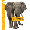 Elephants