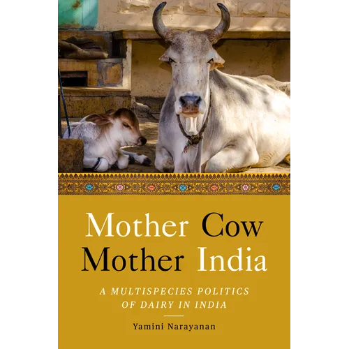 Mother Cow, Mother India: A Multispecies Politics of Dairy in India