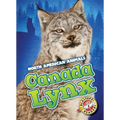 Canada Lynx