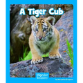 A Tiger Cub