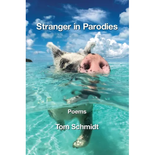Stranger in Parodies