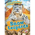 Snow Leopards