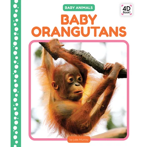 Baby Orangutans
