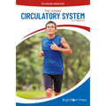 The Human Circulatory System