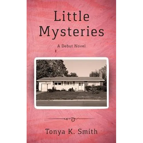Little Mysteries: A Debut Novel