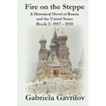 Fire on the Steppe: A Historical Novel of Russia and the United States: Book 2: 1917 - 1918