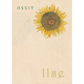 Ilse