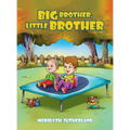 Big Brother, Little Brother
