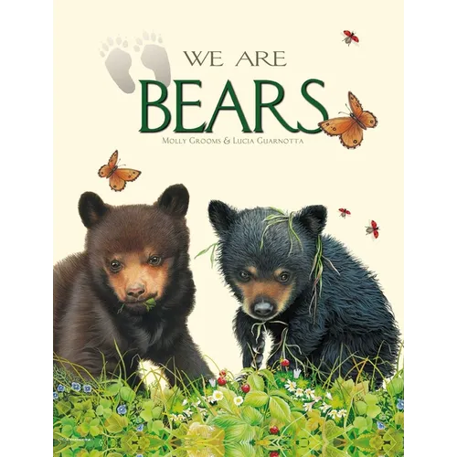 We Are Bears