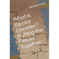 What is Bipolar Disorder? Putting the Pieces Together