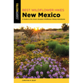 Best Wildflower Hikes New Mexico