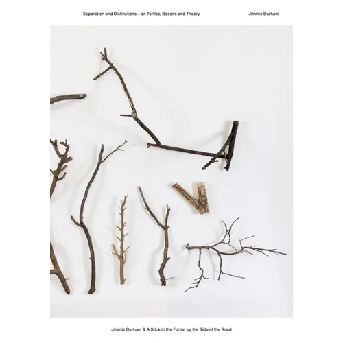 Jimmie Durham & a Stick in the Forest by the Side of the Road: Separation and Distinctions - On Turtles, Bosons and Theory
