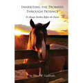 Inheriting the Promises Through Patience: It's Always Darkest Before the Dawn