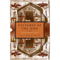 Cultures of the Jews, Volume 1: Mediterranean Origins (National Jewish Book Award)