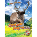 Caribou Migration