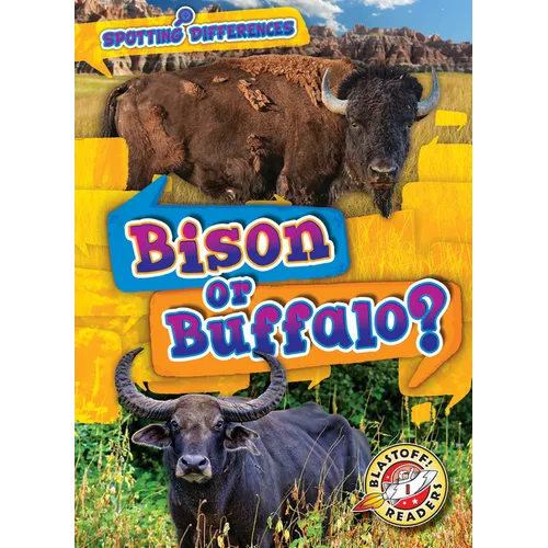 Bison or Buffalo?