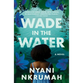 Wade in the Water
