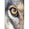The Eyes of a Wolf
