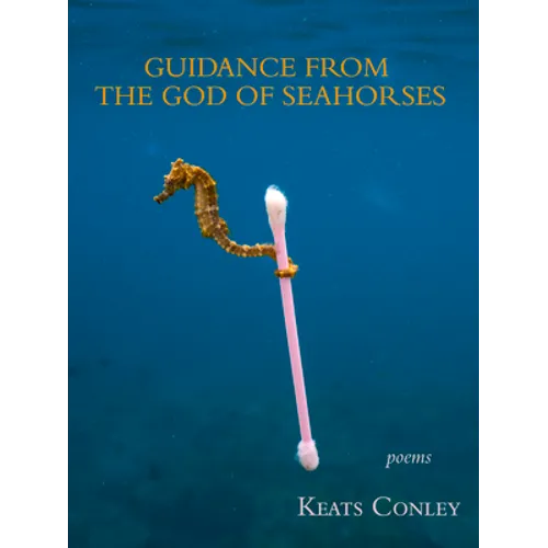 Guidance from the God of Seahorses