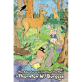 The Adventures of Lightfoot the Deer by Thornton Burgess, Fiction, Animals, Fantasy & Magic