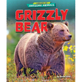Grizzly Bear