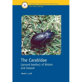 The Carabidae (Ground Beetles) of Britain and Ireland