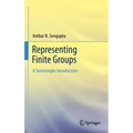 Representing Finite Groups: A Semisimple Introduction