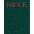 Lisa Brice: Lives and Works