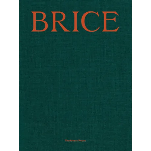 Lisa Brice: Lives and Works