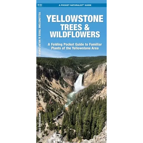Yellowstone Trees & Wildflowers: A Folding Pocket Guide to Familiar Plants of the Yellowstone Area