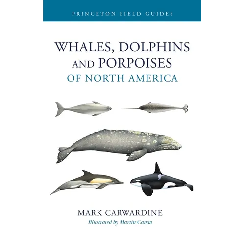 Whales, Dolphins, and Porpoises of North America