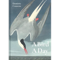 Bird a Day