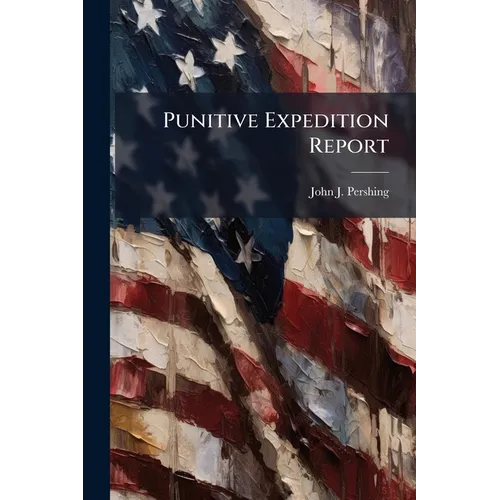 Punitive Expedition Report