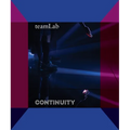 Teamlab: Continuity