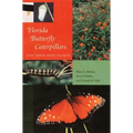 Florida Butterfly Caterpillars and Their Host Plants