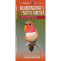 Hummingbirds of North America: The Eight Most Familiar North American Species