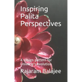 Inspiring Palita Perspectives: A design pattern for evolution