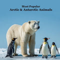 Most Popular Arctic and Antarctic Animals Kids Book: Great Arctic Animals Children's Book with Lifelike Pictures and Fun Facts