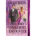 Lady Mary's Dangerous Encounter