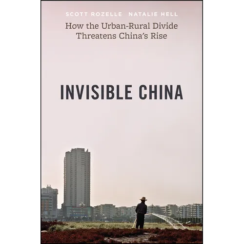 Invisible China: How the Urban-Rural Divide Threatens China's Rise