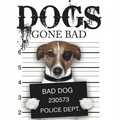 Dogs Gone Bad