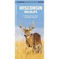 Wisconsin Wildlife: A Folding Pocket Guide to Familiar Animals