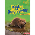 Meet a Baby Beaver