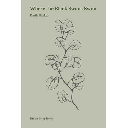 Where the Black Swans Swim