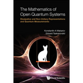 The Mathematics of Open Quantum Systems