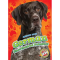 German Shorthaired Pointers